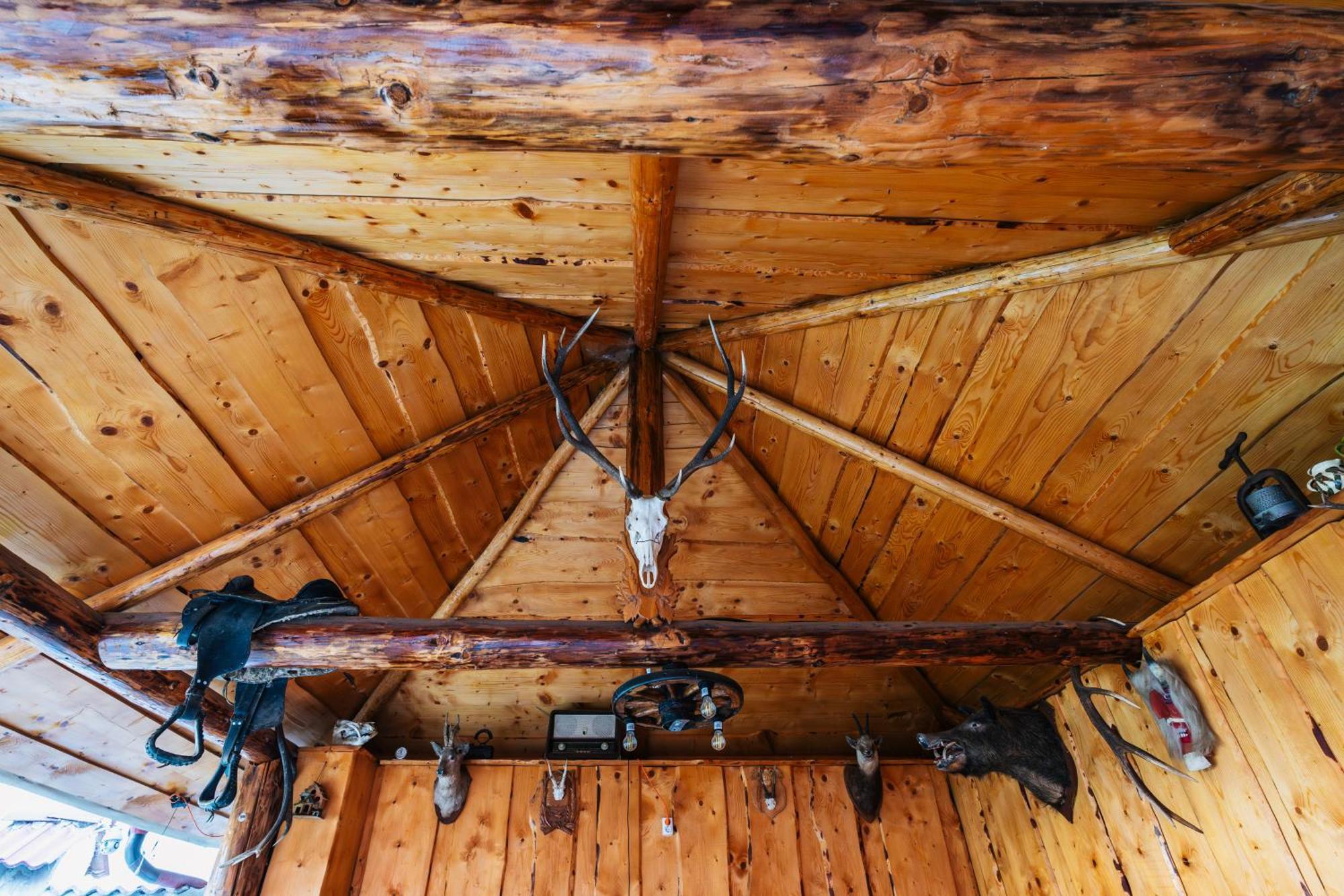 Casa Diana Rasnovヴィラ エクステリア 写真